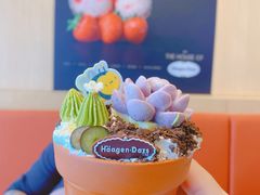 -哈根达斯(大洋百货店)