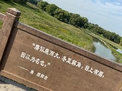 -北京麋鹿生态实验中心