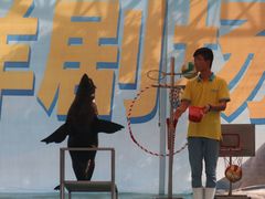 -重庆欢乐海底世界