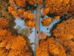 -桤木河湿地公园