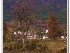-塔川景区