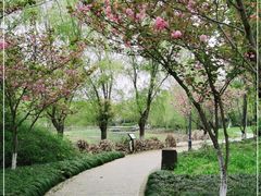 -长广溪湿地公园