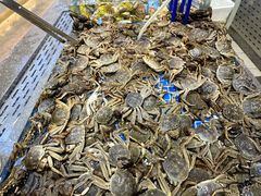 -半岛听涛蒸汽海鲜自助(K11店)