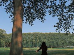 -河南省黄河迎宾馆