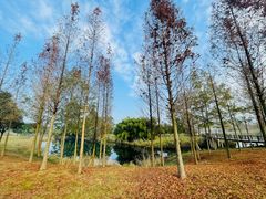 -眉山湿地公园(东坡区)