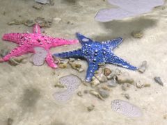 -多彩贵州城极地海洋世界