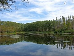 -东郊湿地公园