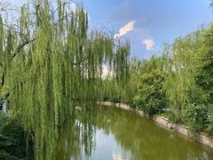 -南翠屏公园
