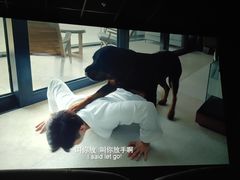 -苏宁易购(成都春熙路店)