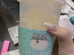 -野萃山·潮汕厚果汁(十亩地店)