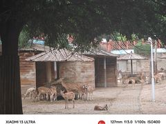 -郑州市动物园