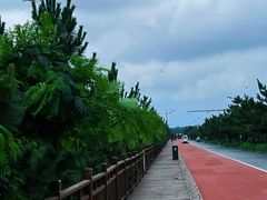 -青岛金沙滩
