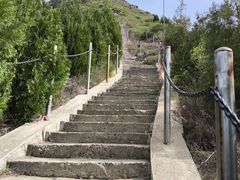 -富平县金粟山森林公园