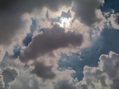 -神光山国家森林公园