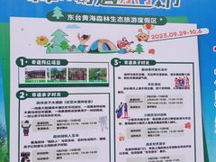 -黄海国家森林公园