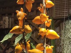 -双季花艺园艺市场(浦东店)