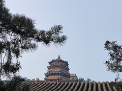 -颐和园