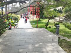 -东山风动石景区