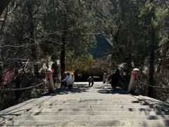 -泰山风景名胜区-普照寺