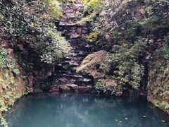 -十八棵（老龙井）御茶园(老龙井店)