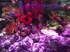 -沈阳海洋探索中心