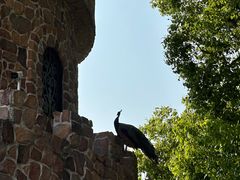 -J Create城市露营咖啡·简餐·宠物(上海动物园店)