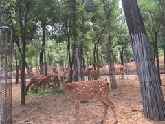 -秦皇岛野生动物园