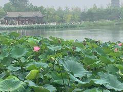 -西海子公园