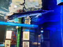 -酷嗒动物文化乐园(cutezoo西溪乐天城店)