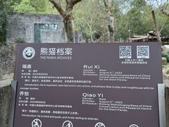 -都江堰中华大熊猫苑