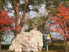 -金鸡湖桃花岛