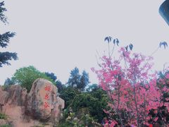 -狐尾山公园