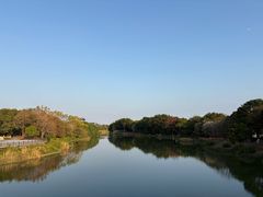-海珠湖公园