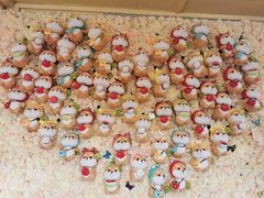 -柴犬高等学院·狗咖·柴犬售卖·宠物训练