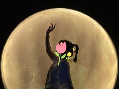 -深圳独角兽星空艺术馆
