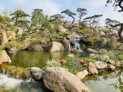 -罗红摄影艺术馆