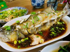 清蒸鲈鱼-沈记菜馆(酒仙桥路店)