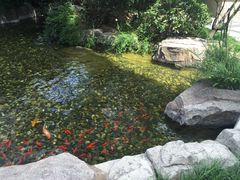 -苏州环球188国际公寓(金鸡湖店)