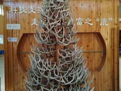 -北京鹿世界主题园