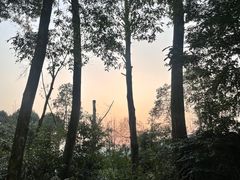 -青城道汤池