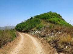 -富平县金粟山森林公园
