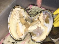 -福州罗源湾海洋世界旅游区