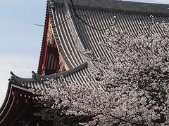 -东京浅草和服体验江户和装工房雅(浅草本店)