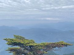 -峨眉山风景名胜区