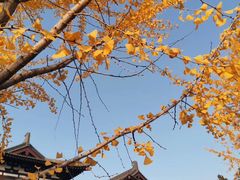 -清凉寺