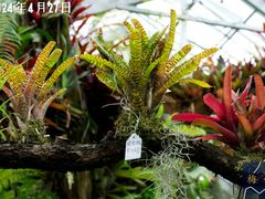 -国家植物园南园