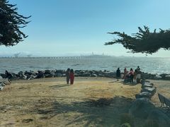 -香港东海海鲜酒家