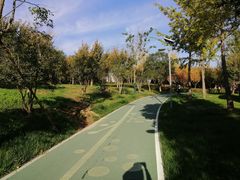 -洨河生态公园
