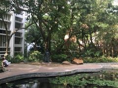 -香港大学