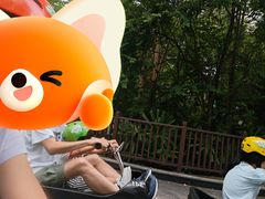 -圣淘沙天际线斜坡滑车